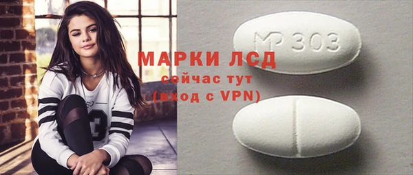 стаф Алексин