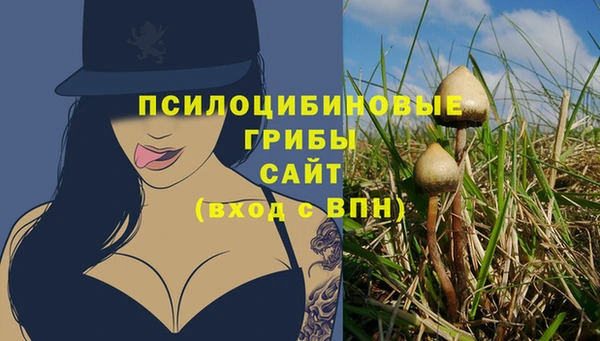 стаф Алексин
