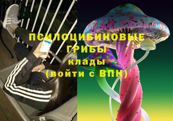 стаф Алексин