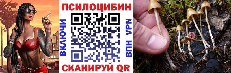 Галлюциногенные грибы мухоморы Чебаркуль