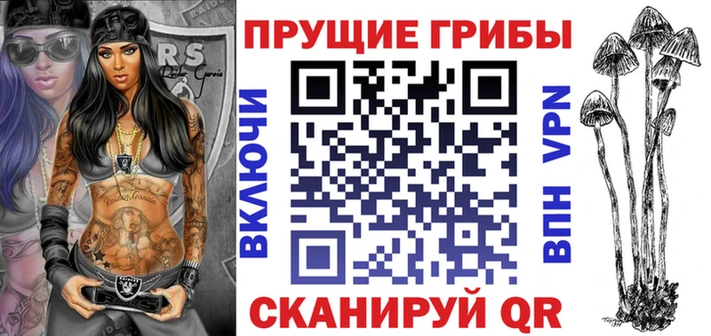 MEGA маркетплейс  наркота  Чебаркуль  Псилоцибиновые грибы Psilocybine cubensis 